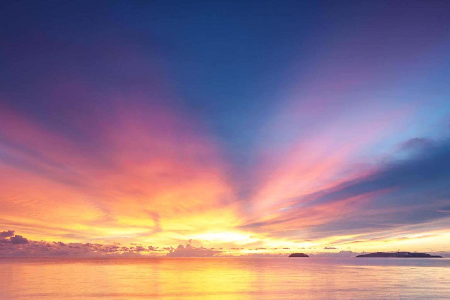 Il contributo della vita marina allo stoccaggio del carbonio vale centinaia di miliardi di dollari ogni anno